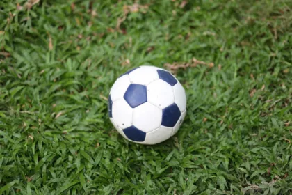 Balón blanco y azul sobre césped, fotografía ilustrativa de fútbol