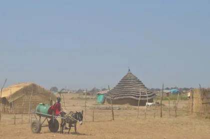 Foto de archivo del paisaje de Abyei Town, con viviendas, cercas y una persona conduciendo un carro tirado por burros; 18 de noviembre de 2009.