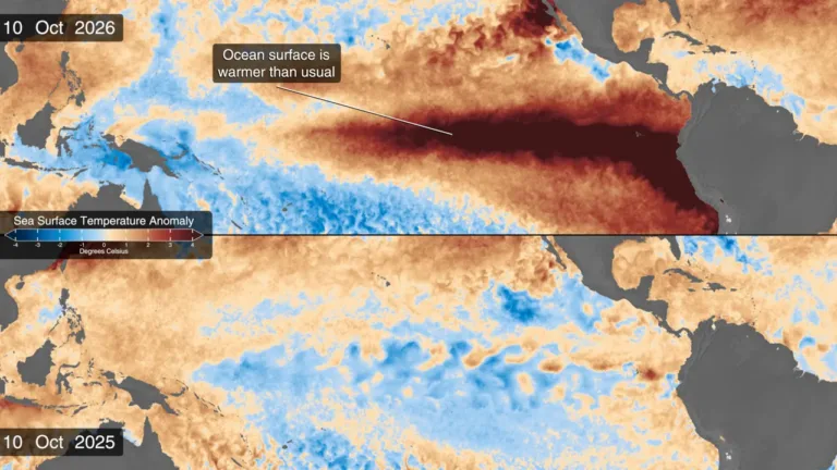 Comparison of Pacific temperature anomalies in 2026 and 2025